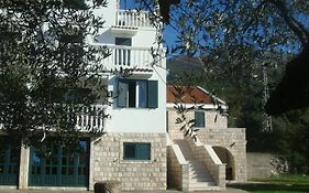Apartmani Dragovic