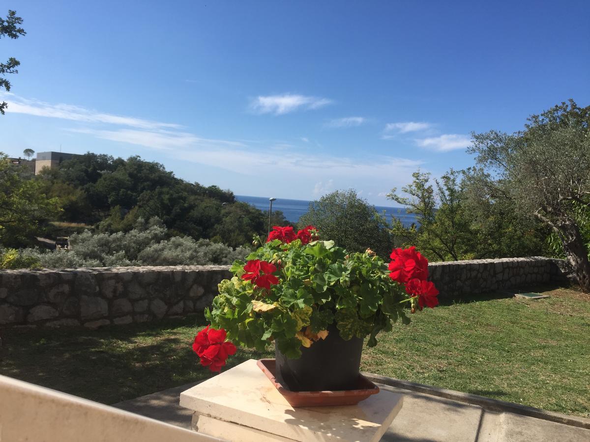 Apartmani Dragovic Sveti Stefan Kültér fotó